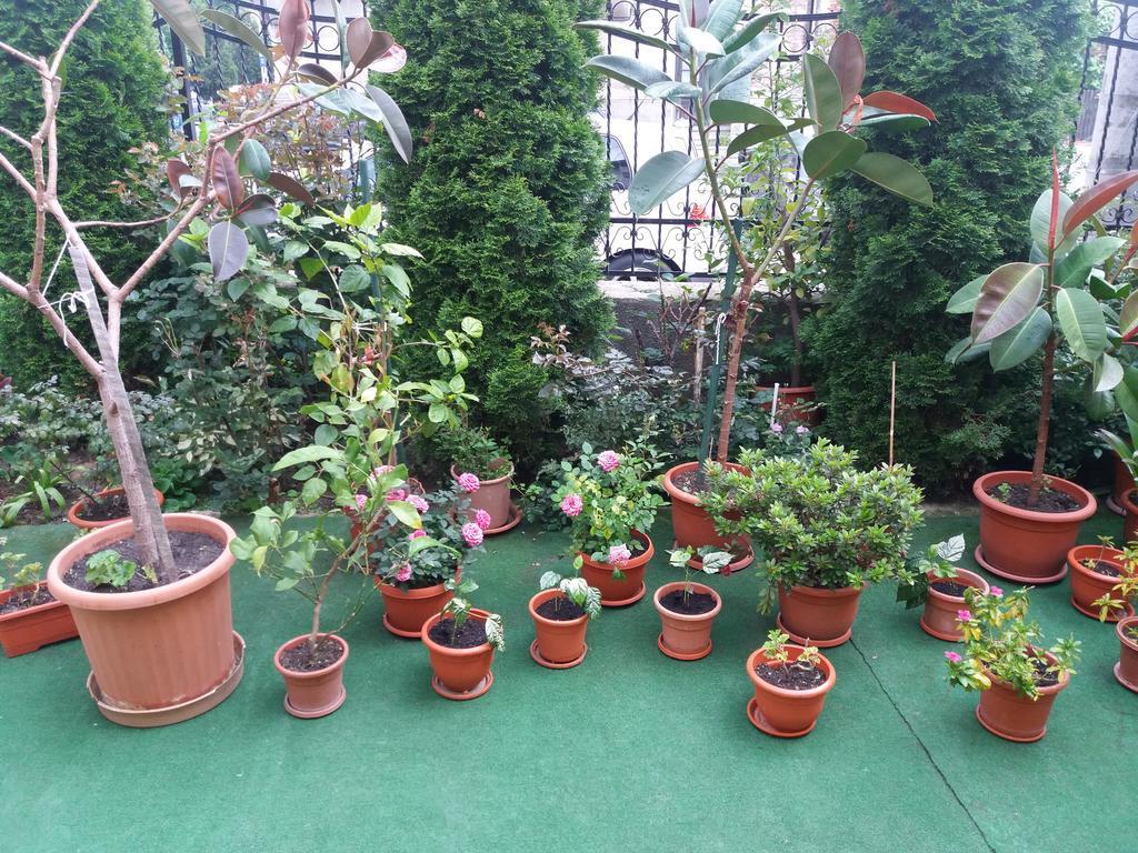 Casa Ariana Hotel Curtea de Argeş Екстериор снимка